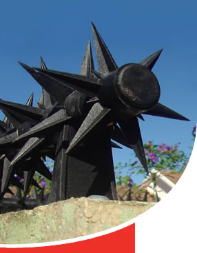 security rotating wall spikes, fibre optic detection systems, security, secure homes, security alarm system, security wall installations, south africa, security walls, security fences, home security fences, electric fence company, security fencing, south africa