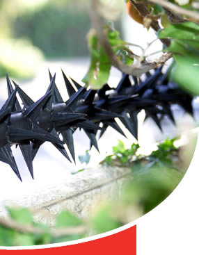 security rotating wall spikes, fibre optic detection systems, security, secure homes, security alarm system, security wall installations, south africa, security walls, security fences, home security fences, electric fence company, security fencing, south africa