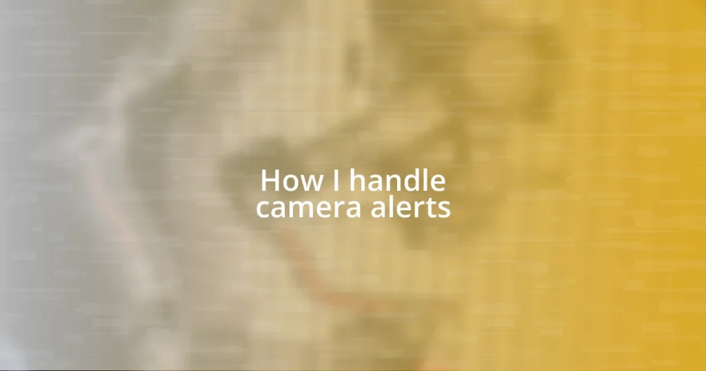 How I handle camera alerts