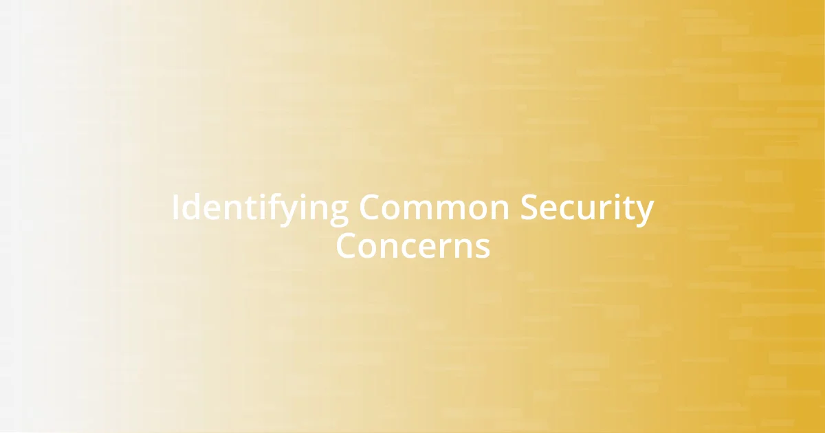 Identifying Common Security Concerns